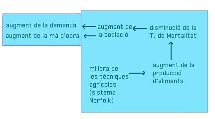 quadre sinòptic